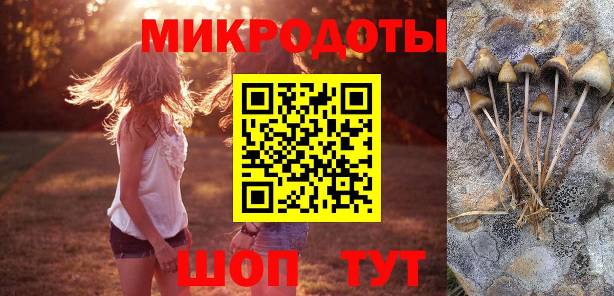 Галлюциногенные грибы GOLDEN TEACHER  Вход с VPN  Псилоцибиновые грибы ЛСД  Гуково 